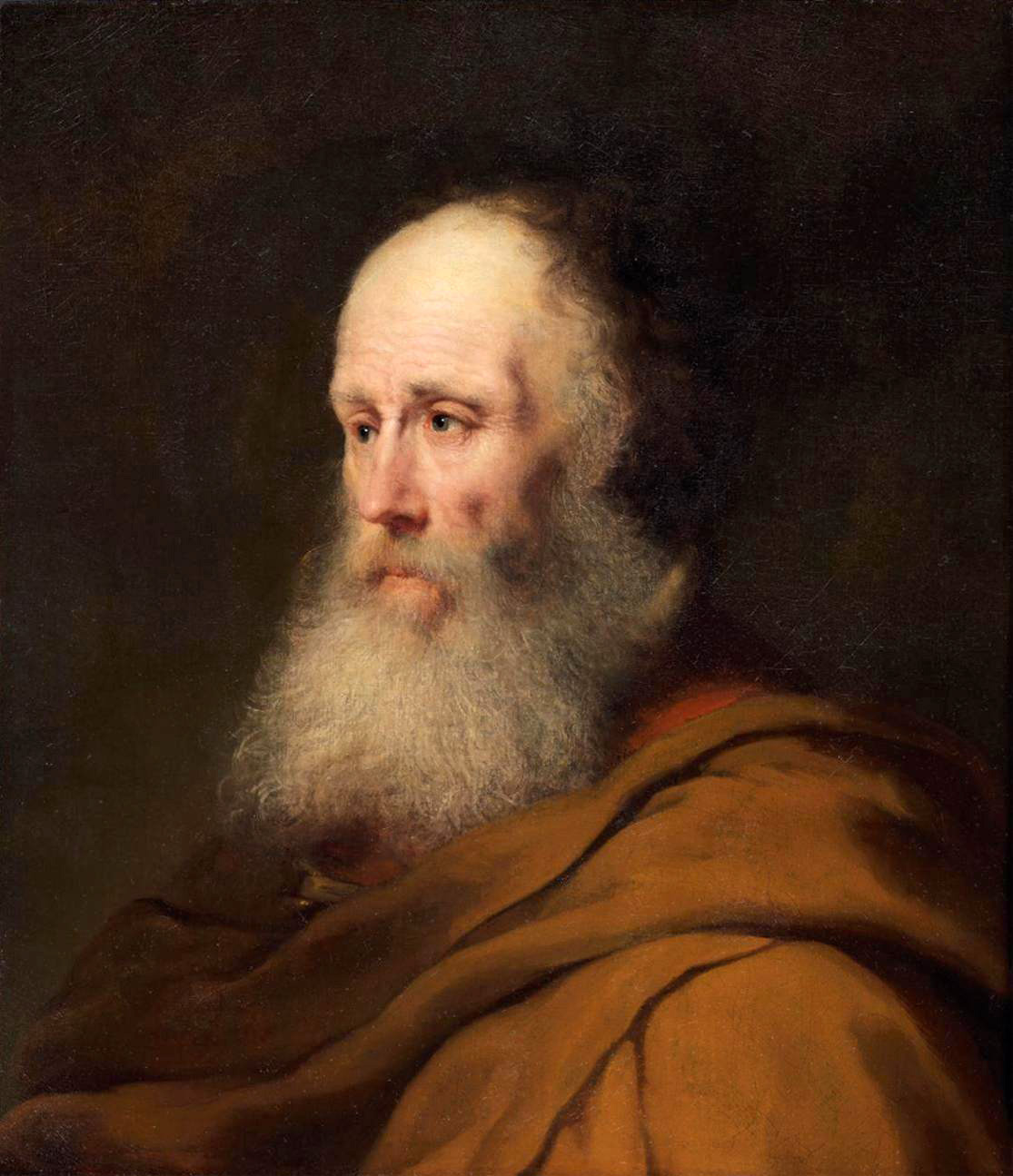 bearded old man with a brown cloak
